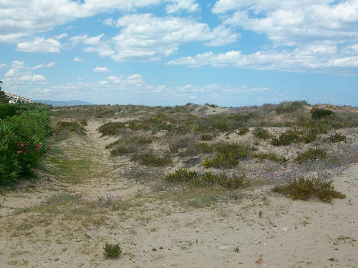 Roderic - Apartamento Junto Al Mar Oliva Extérieur photo